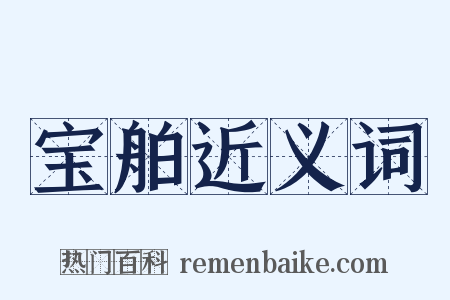宝舶近义词是什么意思的图片